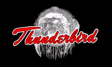 Thunderbird Logo Transparent PNG