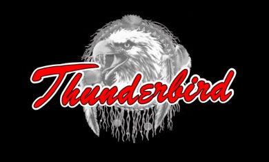 Thunderbird Logo auf schwarzem Hintergrund JPG